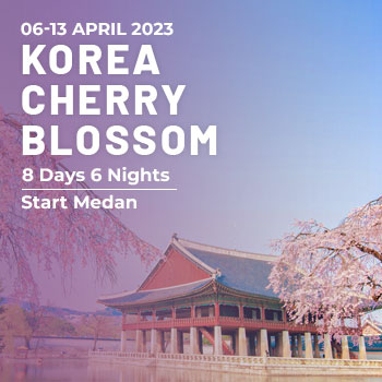 Korea-Cherry-Blossom