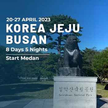 Header Website mobile Korea Jeju Busan 20 Apr 2023