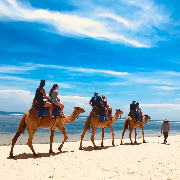 Camel Riding-Bali Safari-1