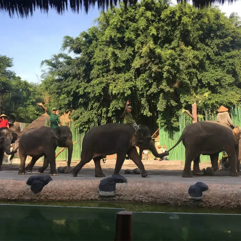 Elephant Safari Bali-1