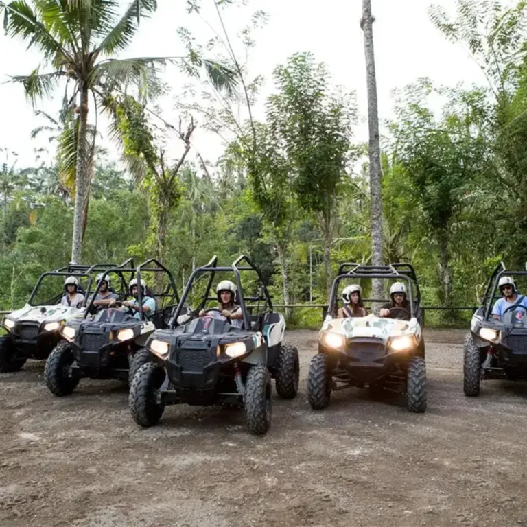 Jungle Buggies Bali-1