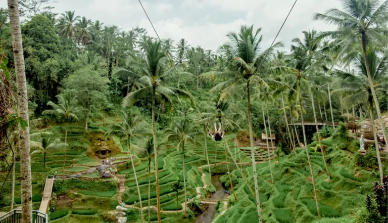 Alas Harum-Bali-Itinerary-img