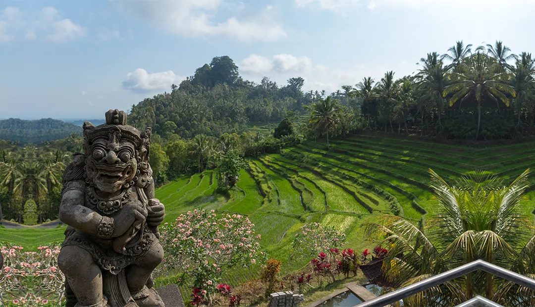 Bukit Jambul Rice Terrace-Bali-img-2
