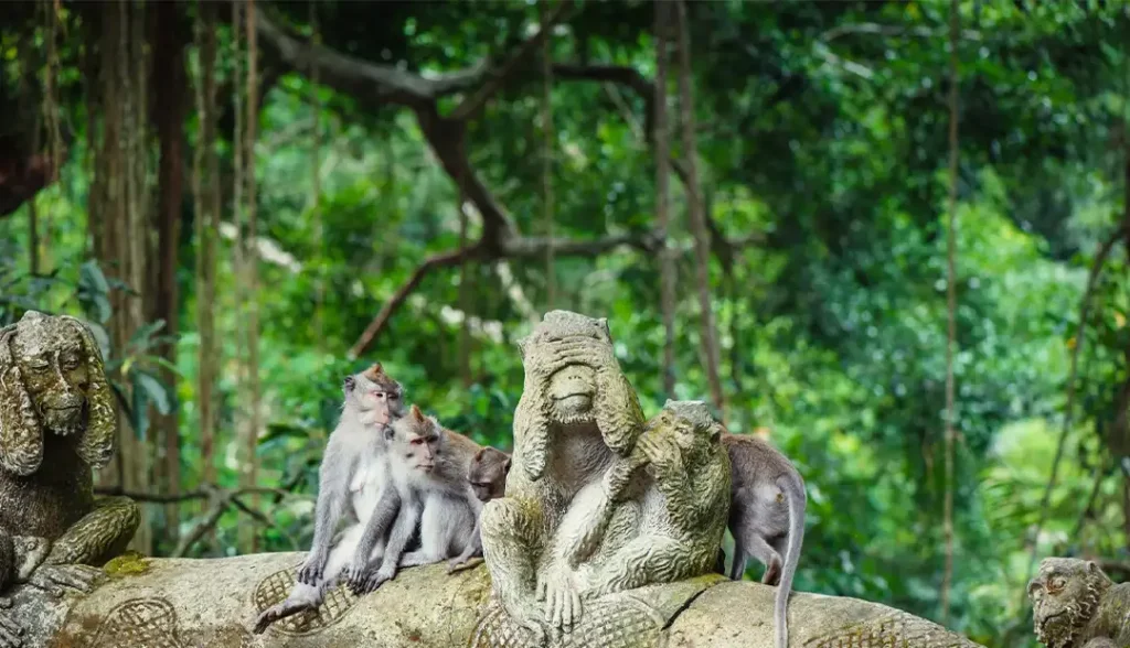 Monkey Forest Sanctuary-Bali-Img-2