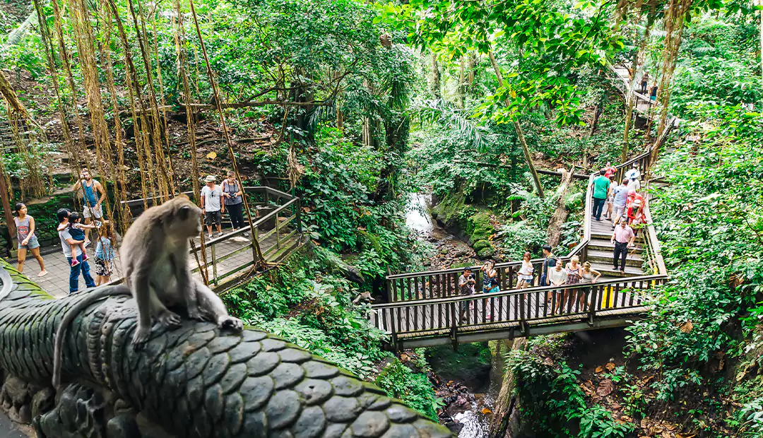 Sacred Monkey Forest Sanctuary-Bali-Itinerary-Img
