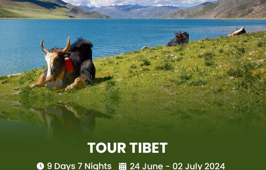 Tour Tiber 24 June 2024-HmImg