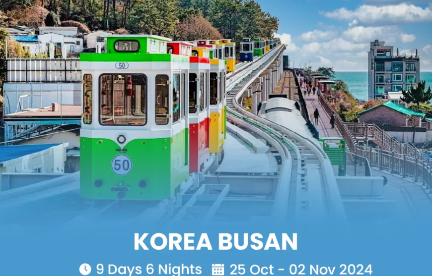 Tour Korea Busan 25 October 2024-HmImg