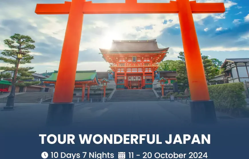 Tour Wonderful Japan 11 October 2024-HmImg