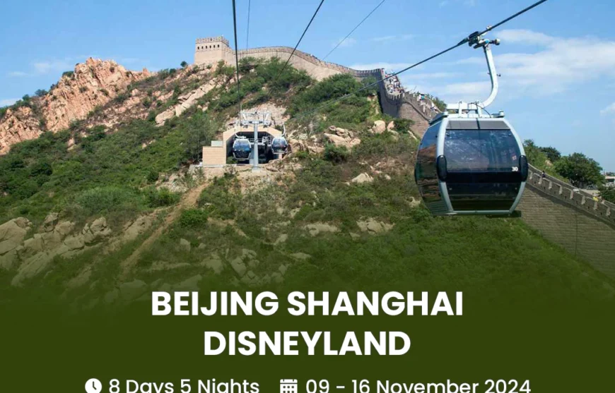 Tour Beijing Shanghai Disneyland 09 November 2024-HmImg