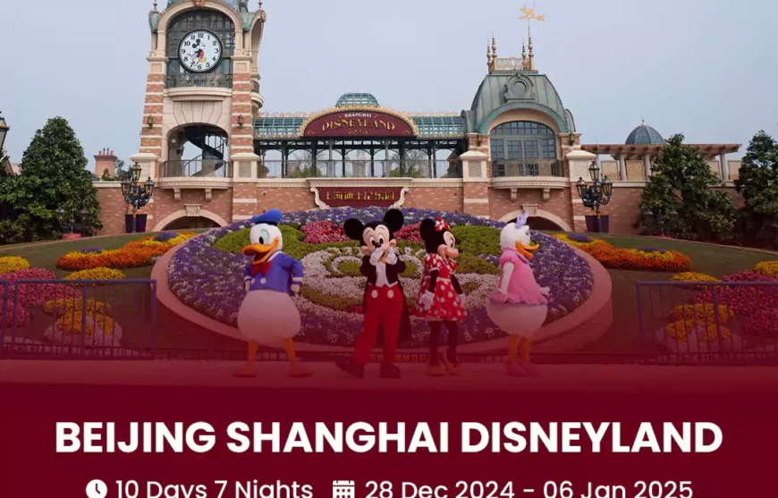 Tour Beijing Shanghai Disneyland 28 December 2024-HmImgs