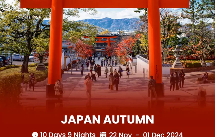 Tour Japan Autumn 22 November 2024-HmImgs