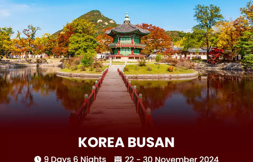 Tour Korea Busan 22 November 2024-HmImgs