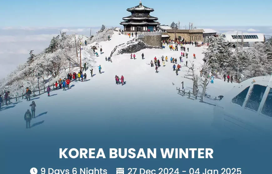 Tour Korea Busan Winter 27 December 2024-HmImgs