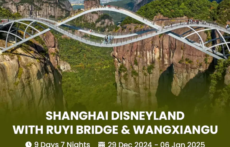 Tour Shanghai Disneyland With Ruyi Bridge and Wangxiangu 29 December 2024-HmImgs