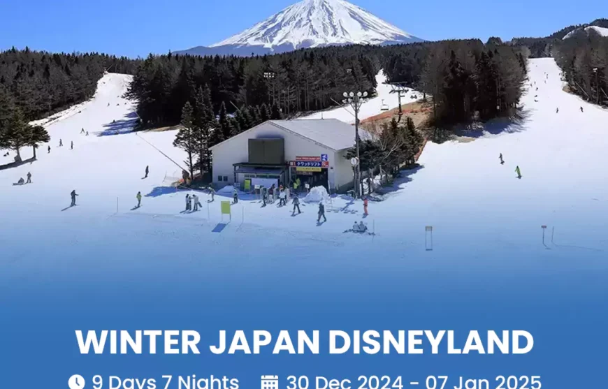 Tour Winter Japan Disneyland 30 December 2024-HmImgs