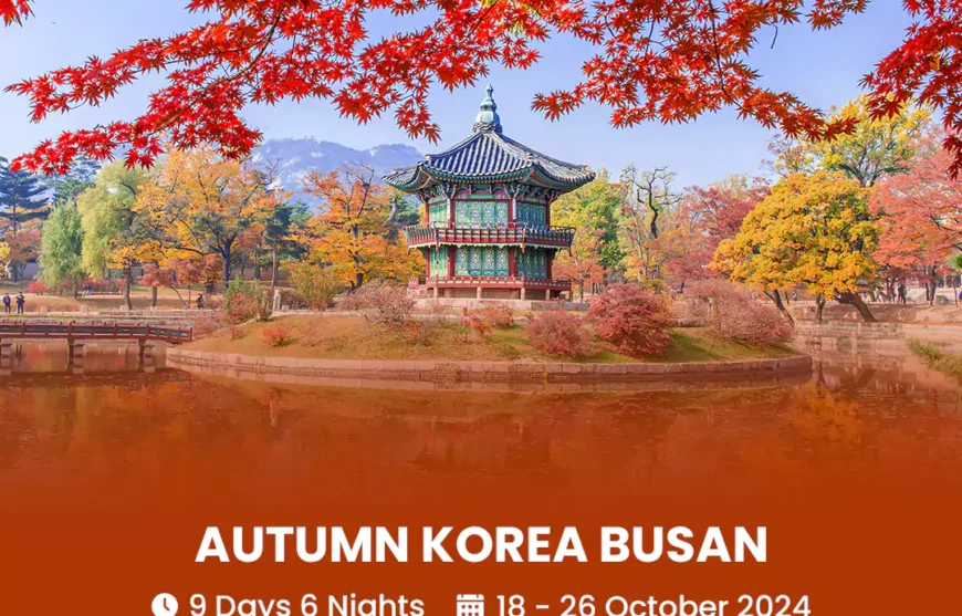 Tour Autumn Korea Busan 18 October 2024