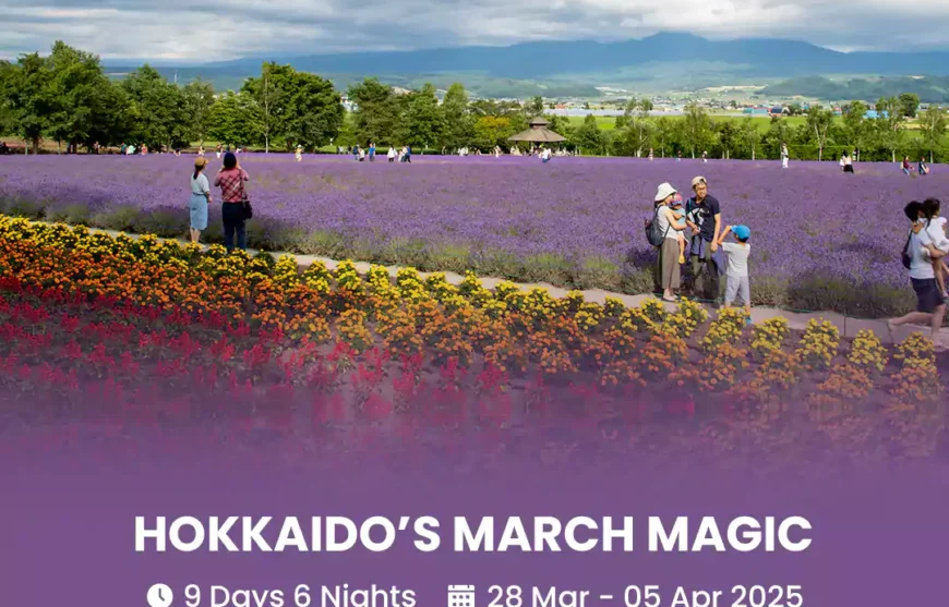 Tour Hokkaido’s March Magic 28 March 2025-HmImg