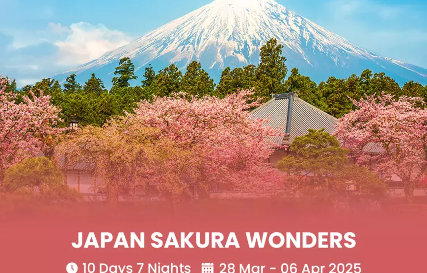 Tour Japan Sakura Wonders 28 March 2025-HmImg