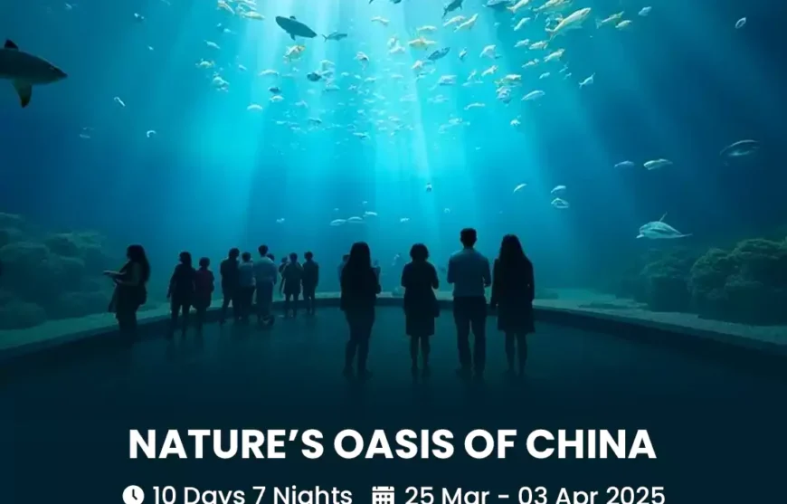 Tour Nature’s Oasis Of China 25 March 2025-HmImg