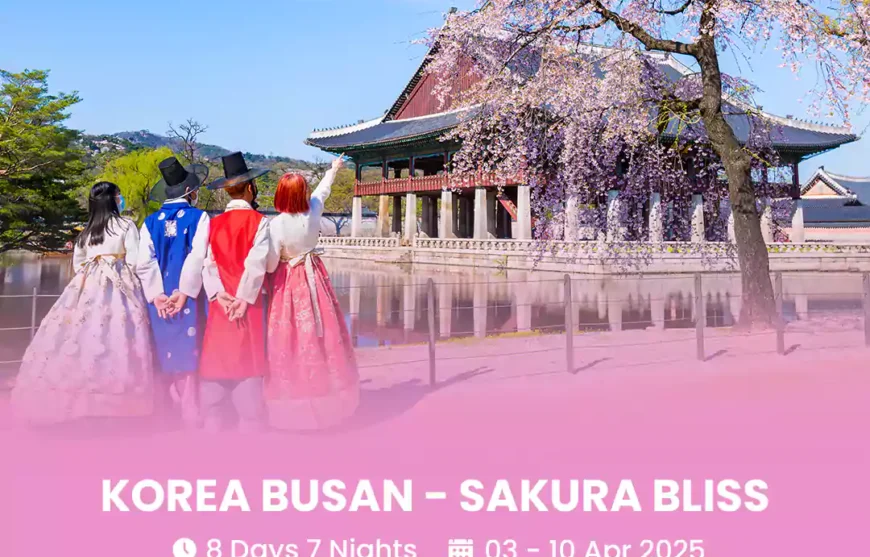 Tour Korea Busan - Sakura Bliss 03 April 2025-HmImg