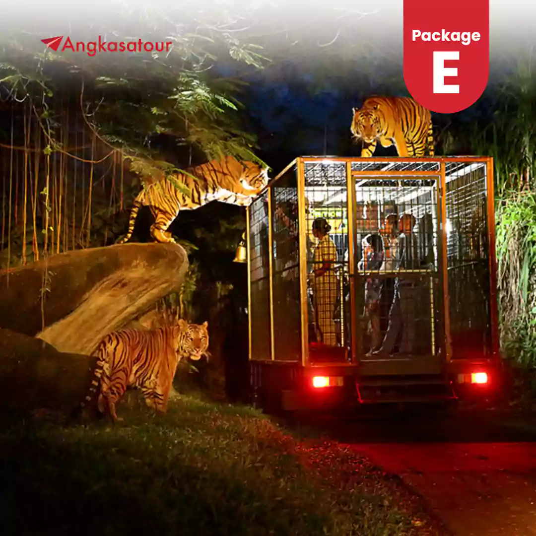 Bali Safari Package E