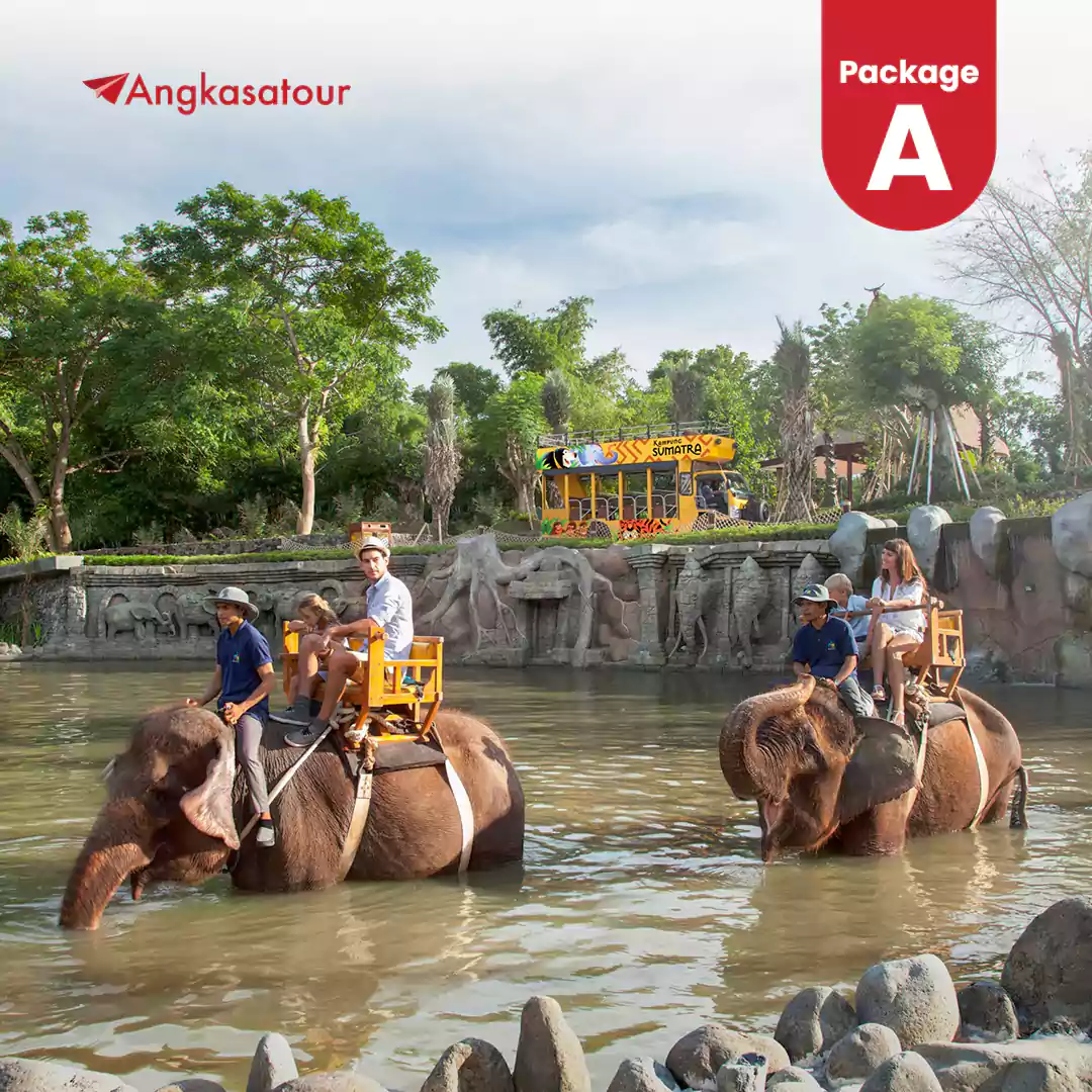 Bali Zoo Package A