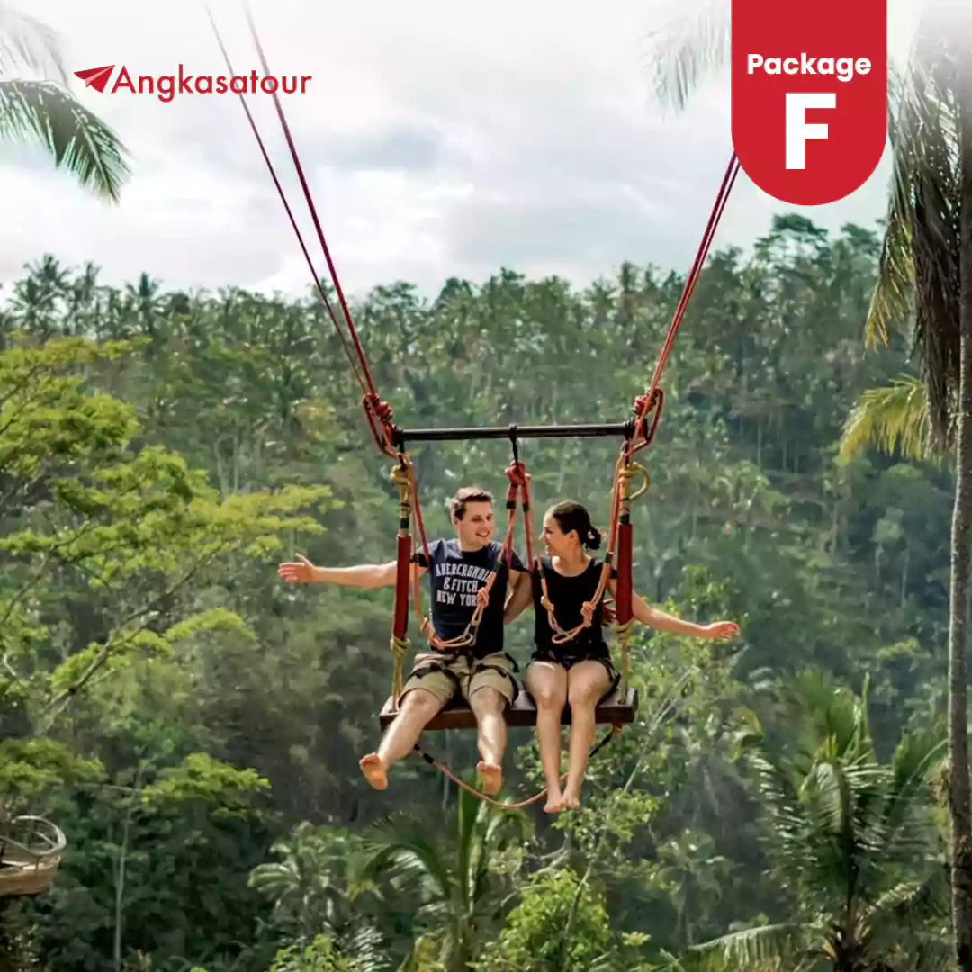 Jungle Swing Package F