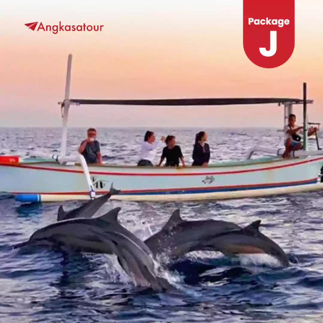 Sunrise Dolphin Swim Package J