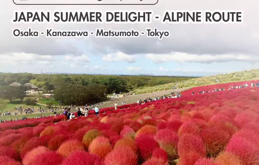 Hitachi Seaside Park-Tour Japan Summer Delight - Alpine Route