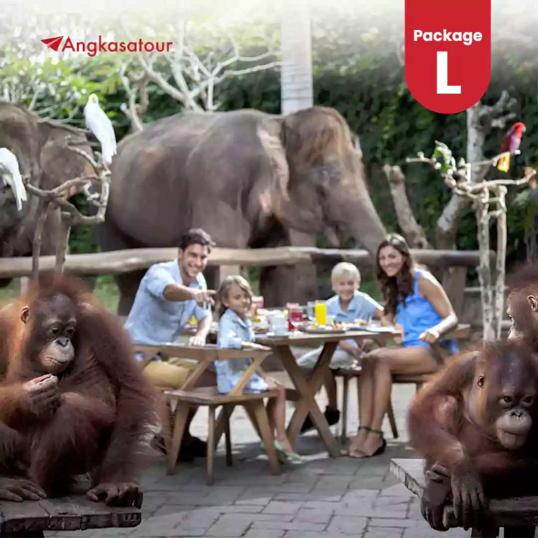 Breakfast with Orang Utan Package L