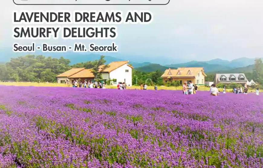 Tour Korea Busan Lavender Dreams and Smurfy Delights