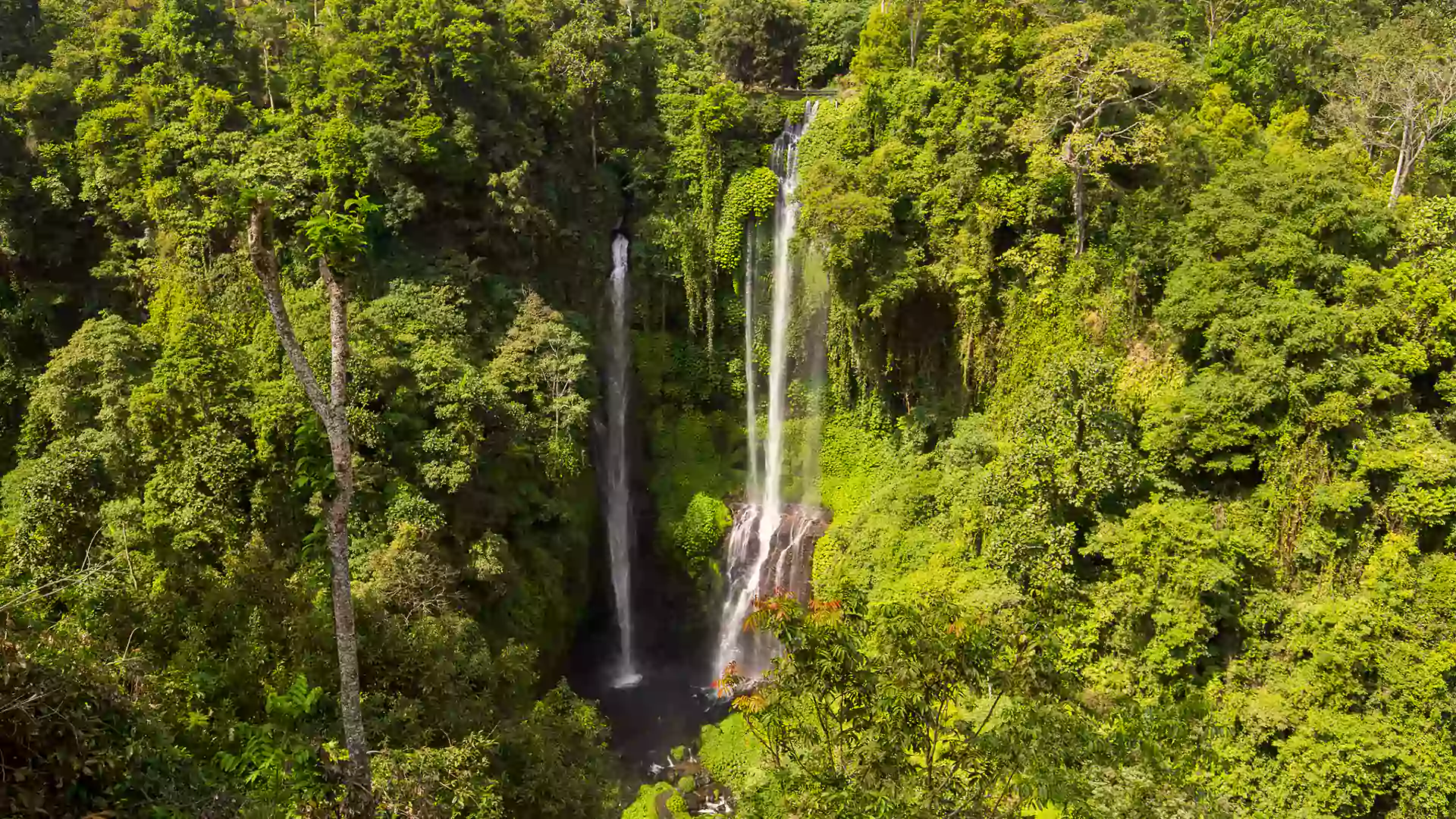 Pemandangan indah Air Terjun Sekumpul di Bali dengan hutan hijau asri, <yoastmark class=