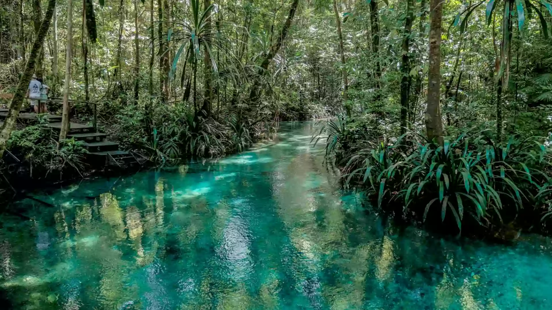Aliran air jernih berwarna biru toska di Kali Biru, tersembunyi di tengah hutan tropis Papua.