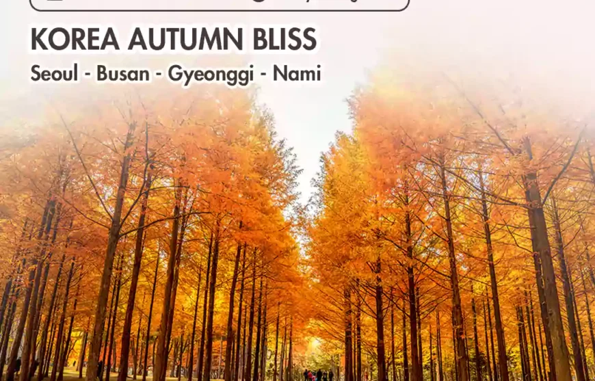 Tour Korea Autumn Bliss with Angkasa Tour & Travel