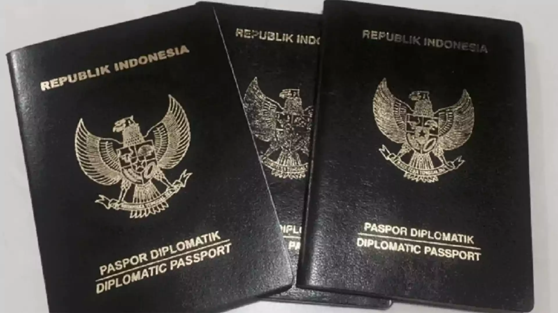 Paspor Diplomatik Indonesia