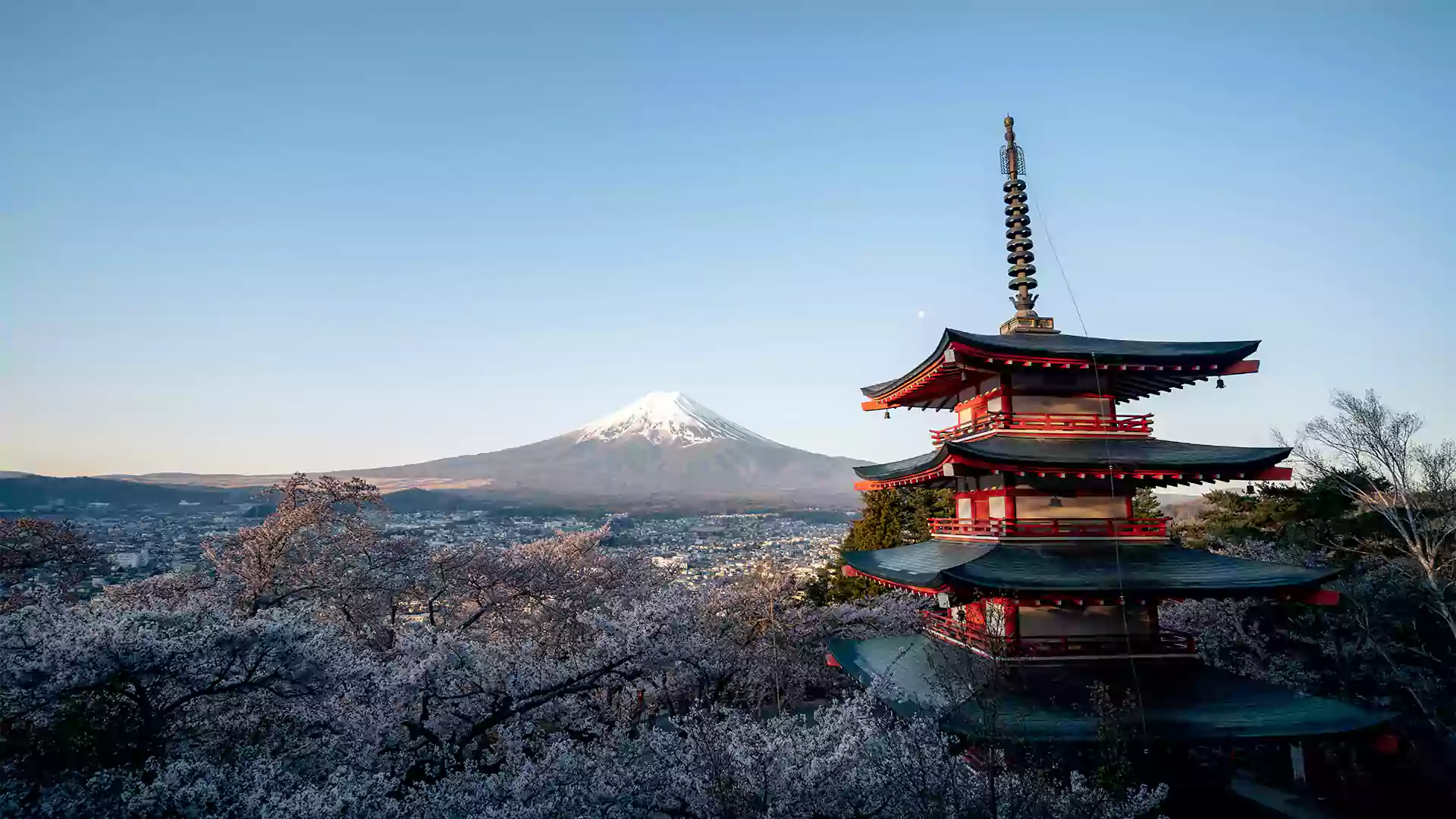 Pemandangan indah Gunung Fuji Jepang dengan kuil pagoda Chureito dan bunga sakura mekar di musim semi
