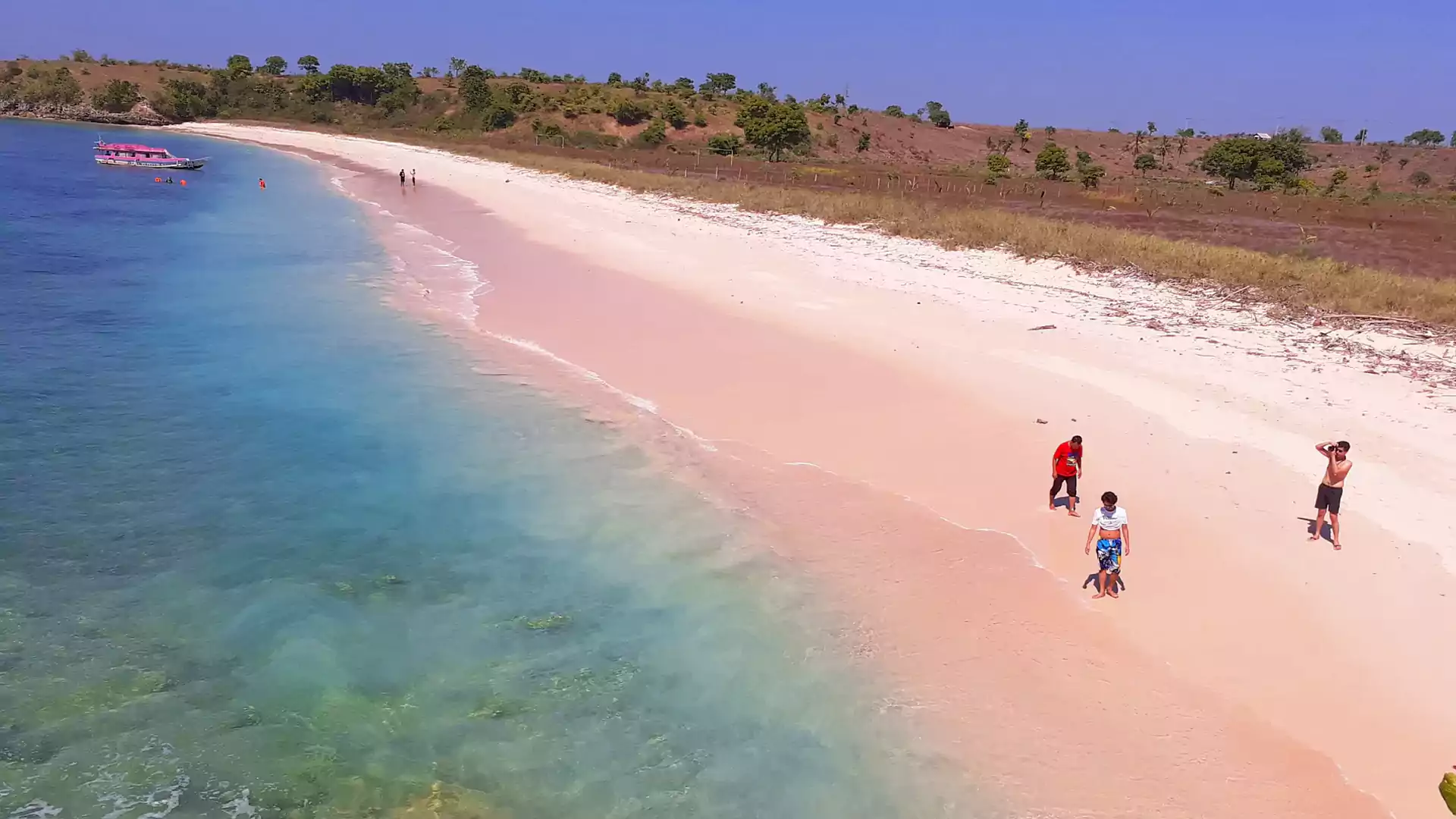Pantai Pink Lombok, tempat wisata lombok dengan pasir unik dan cantik