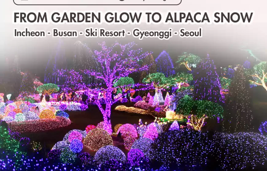 Tour Korea Busan From Garden Glow to Alpaca Snow