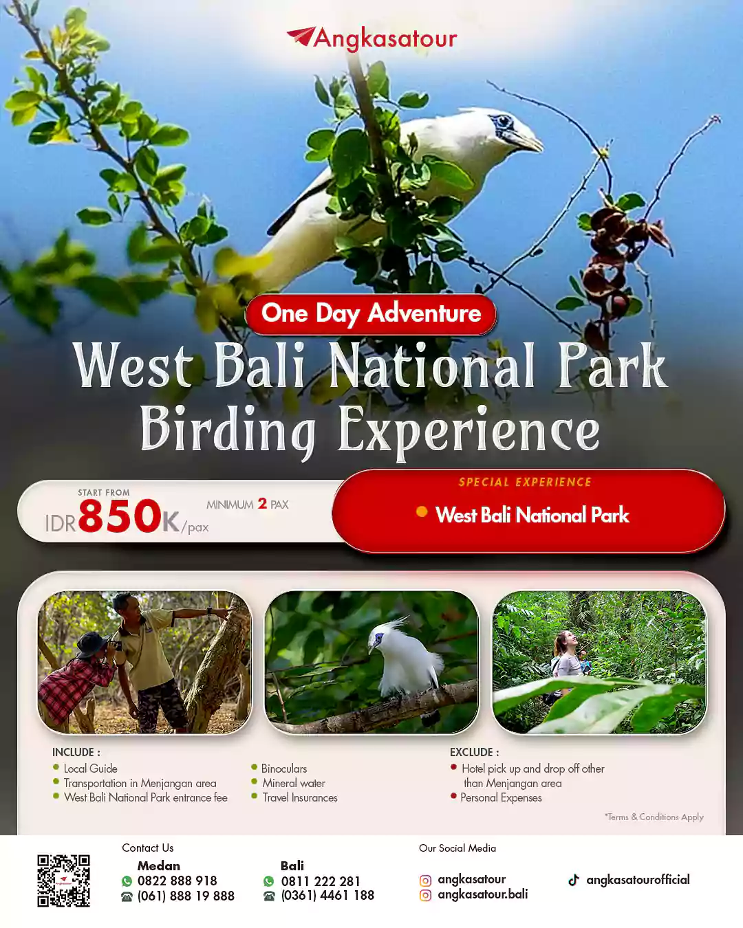 Melihat burung Jalak di alam liar lewat paket wisata taman nasional Bali, cocok buat pecinta wisata alam dan ekowisata.