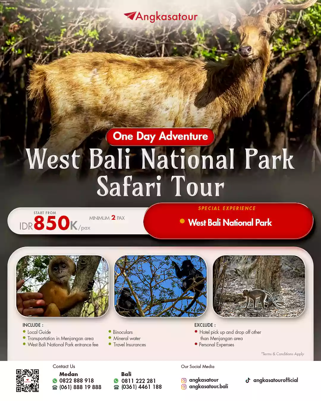 Safari seru di wisata taman nasional Bali Barat, lihat rusa dan monyet liar dalam paket wisata alam yang menyenangkan.