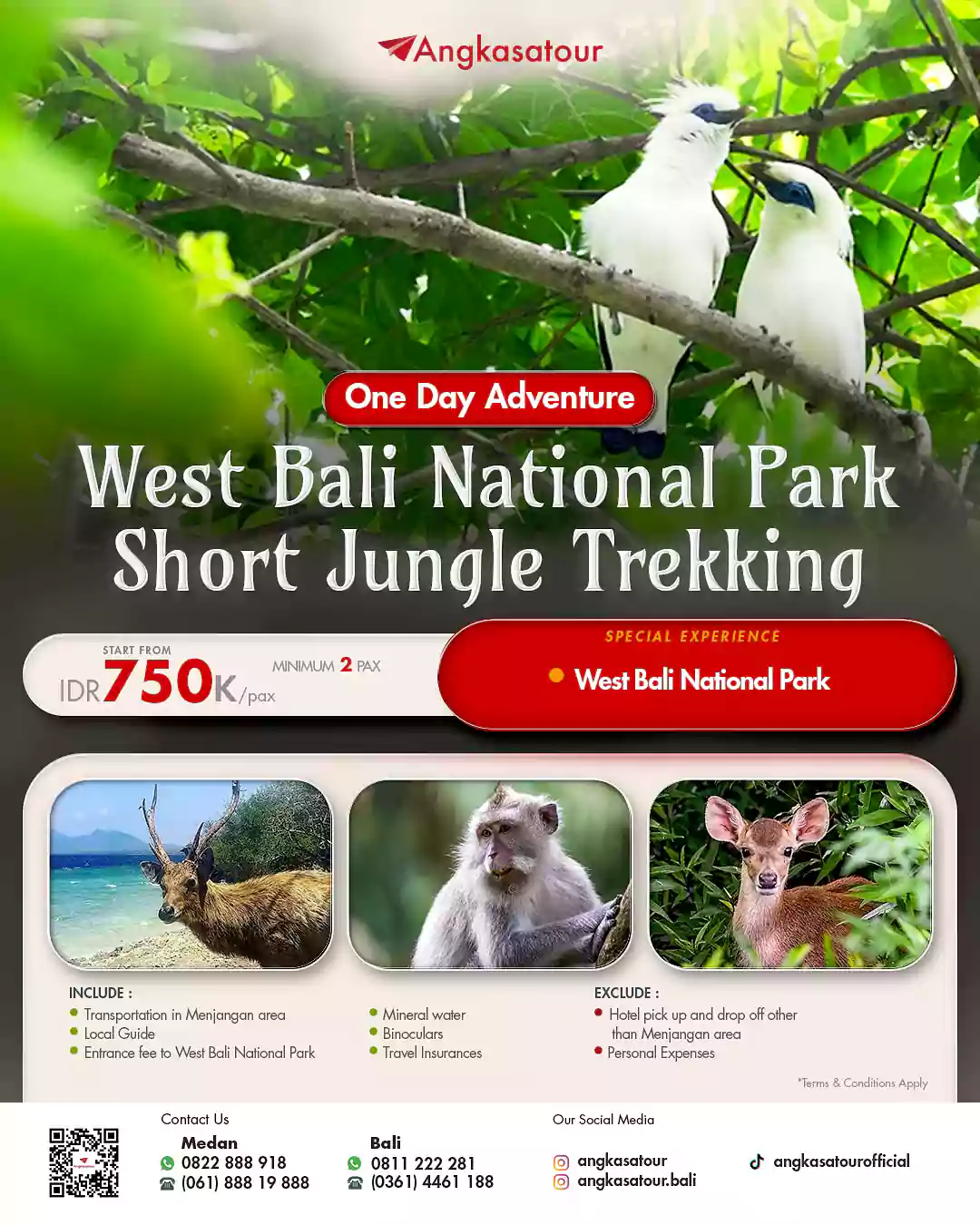 Jalan santai menyusuri hutan tropis lewat paket wisata taman nasional Bali, cocok untuk wisata alam yang tenang.