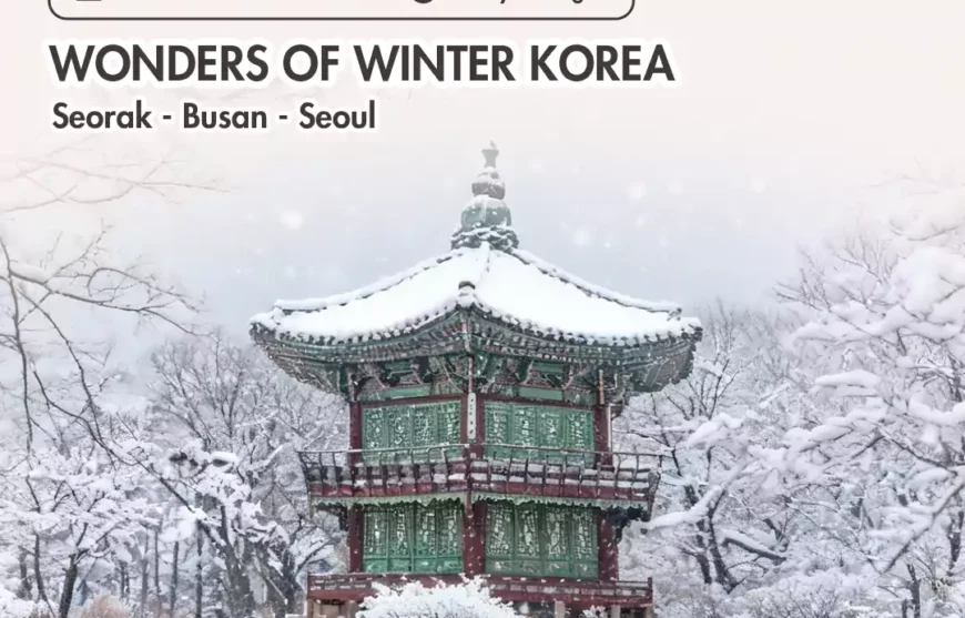 Tour Wonders of Winter Korea - Seorak Busan Seoul