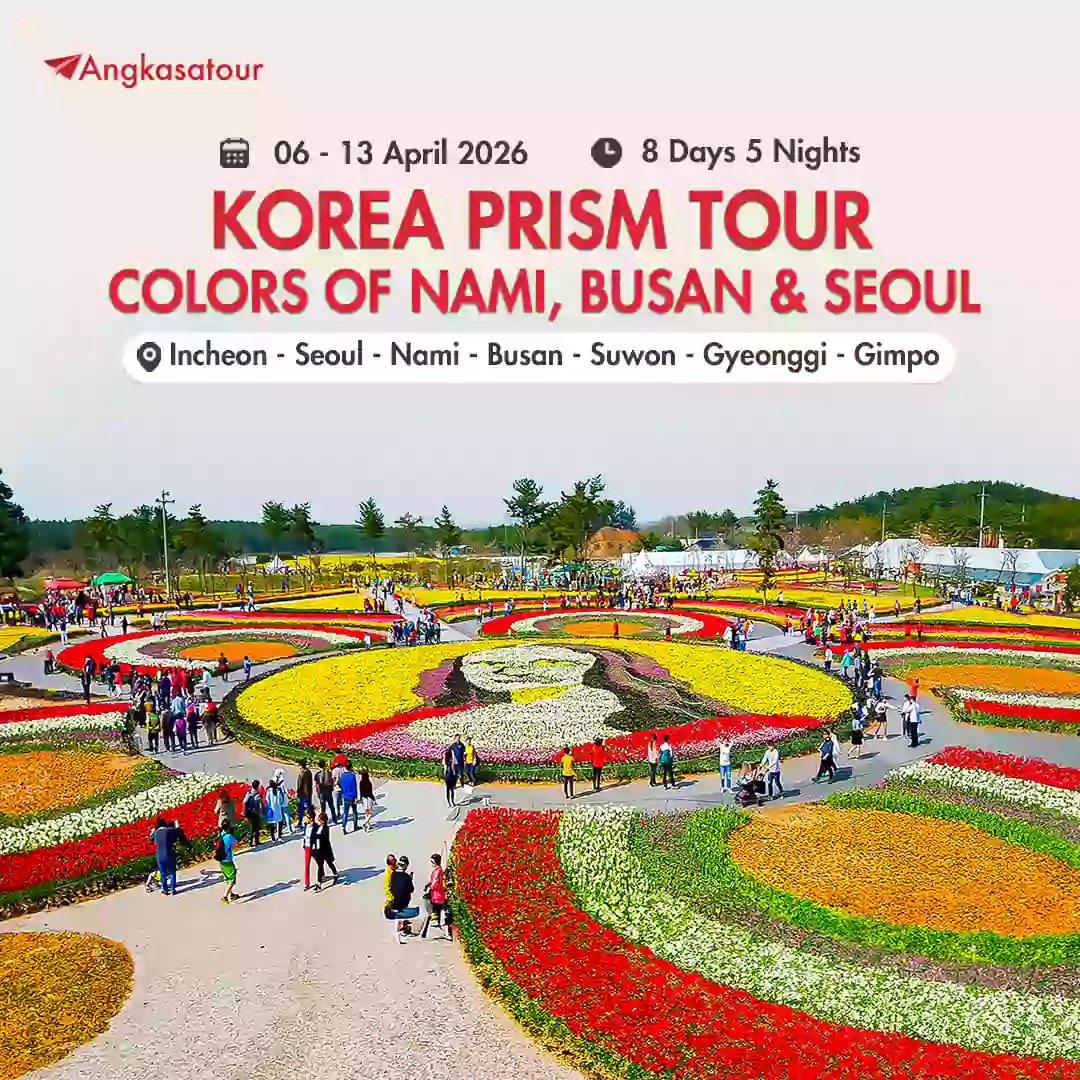 Tour Colors of Nami Busan & Seoul | Angkasatour