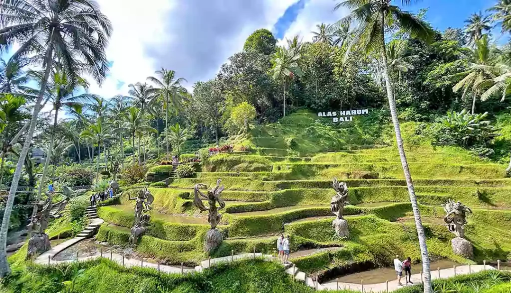 Alas Harum-Bali Tour Package-7 Days 6 Nights