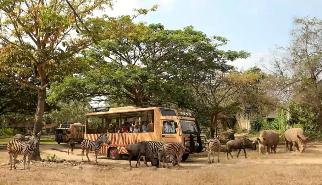 Bali Safari & Marine Park-Bali Tour Package-6 days-5 days