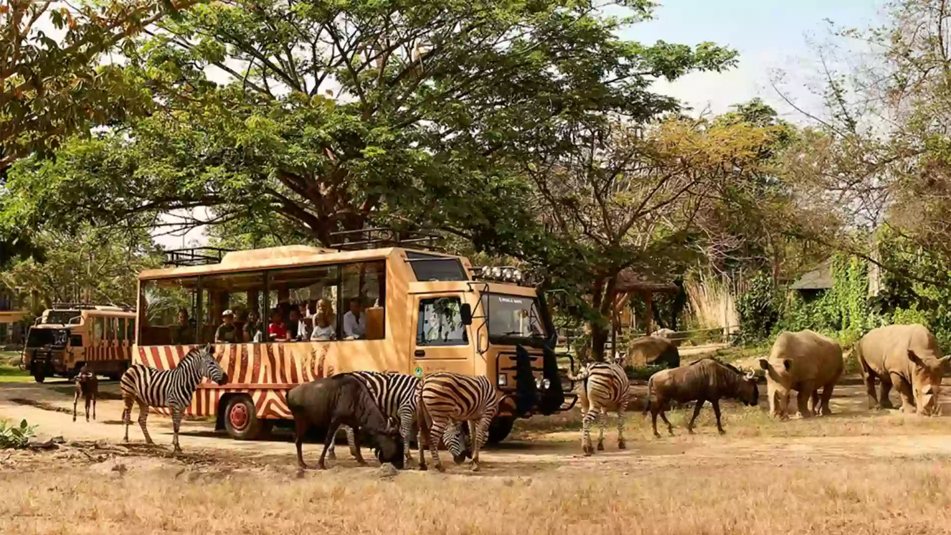 wisata Bali dengan anak di Bali Safari Marine Park, keluarga naik tram safari lihat hewan liar yang seru dan aman
