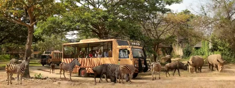 Bali Tour Package-Bali Safari & Marine Park-6 days-5 days