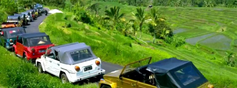 Bali Tour Package-VW Safari Tour-6 days-5 days