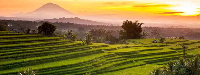 Jatiluwih Rice Terrace-Bali tour package 3 days 2 nights
