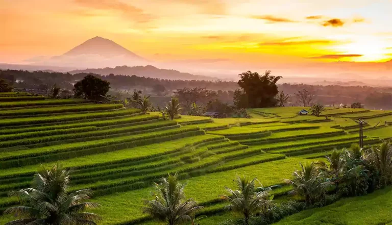 Jatiluwih Rice Terrace-Tour Package Bali Regular Package-3Days2Nights